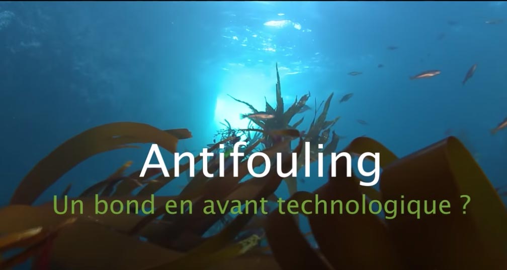 antifouling