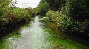 Webconférence : qualité des cours d&rsquo;eau