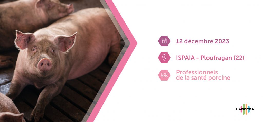 Journée technique santé porcine - Discuter de l’actualité de la santé porcine avec les experts Labocéa - 12 décembre 2023 - Ploufragan