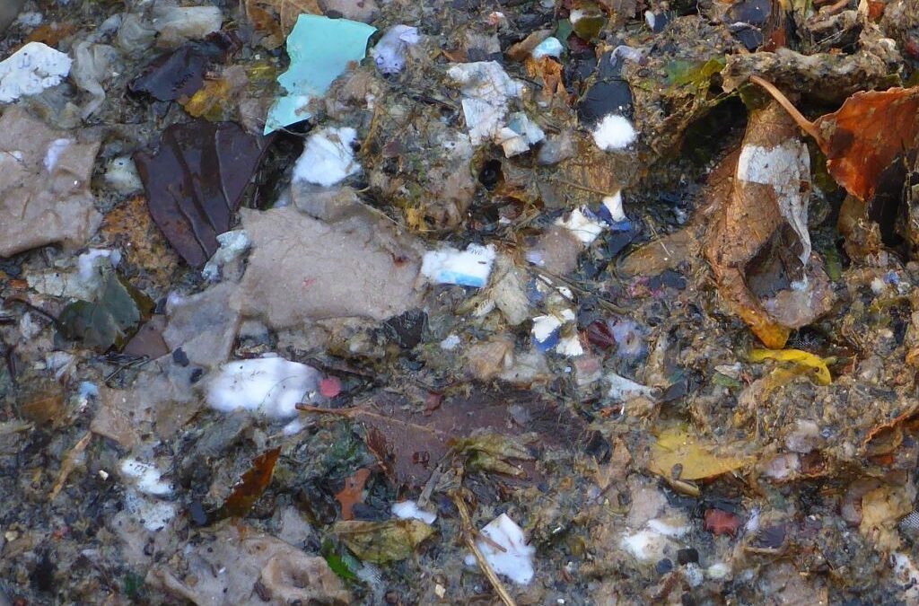 Labocéa, expert de la recherche de microplastiques